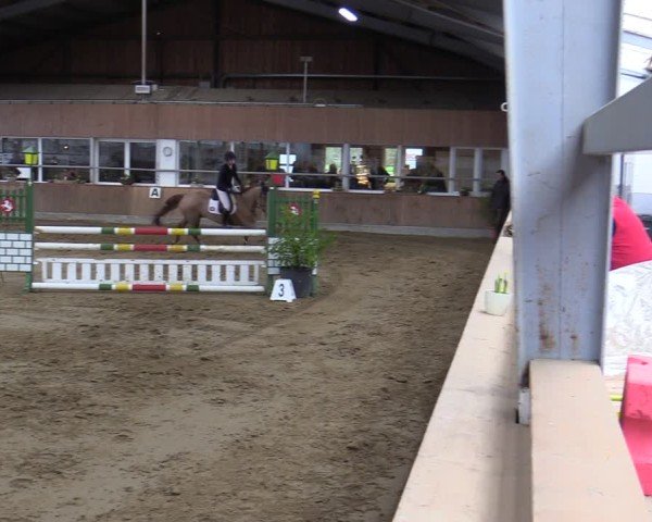 Reitturnier Werne 2025