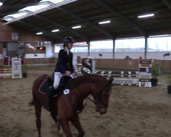 Reitturnier Werne 2025