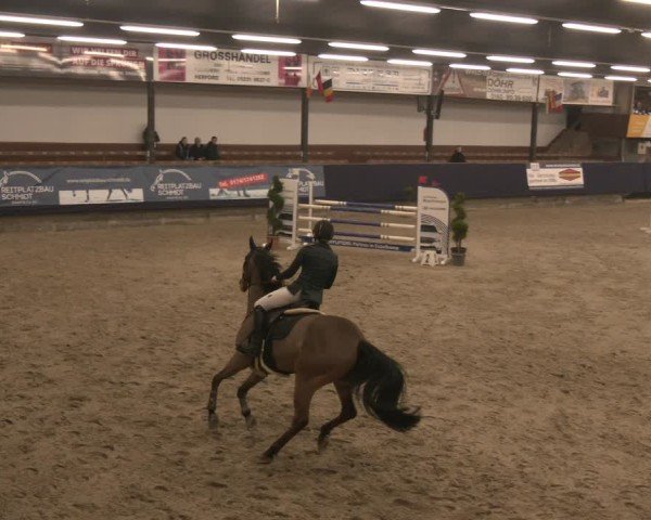 Reitturnier Exter 2025