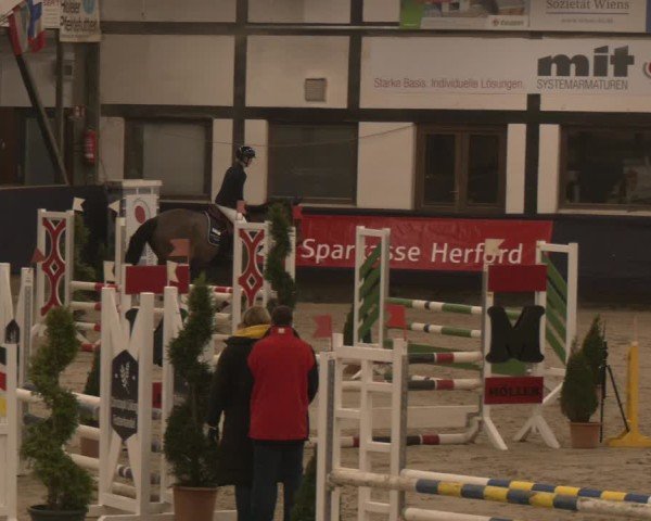 Reitturnier Exter 2025