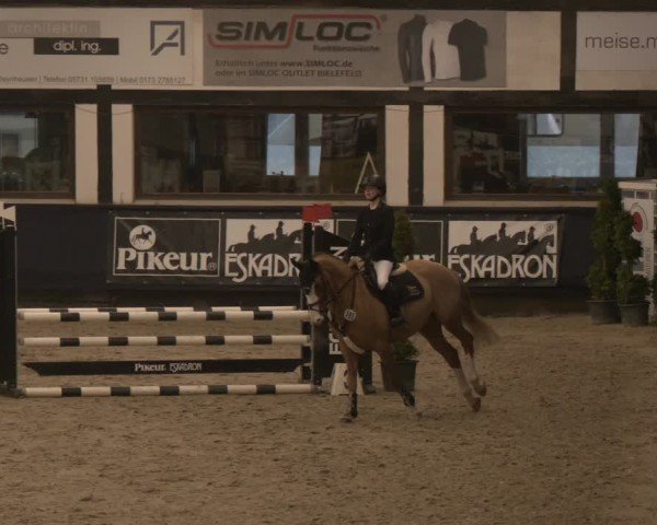 Reitturnier Exter 2025