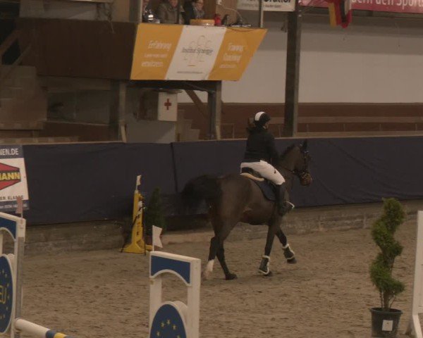 Reitturnier Exter 2025