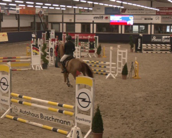 Reitturnier Exter 2025