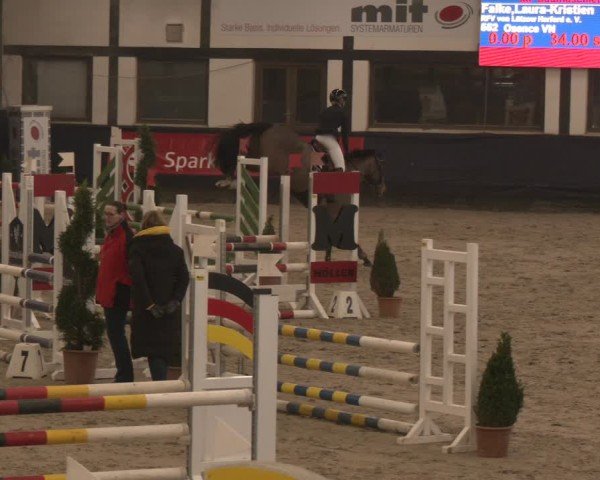 Reitturnier Exter 2025