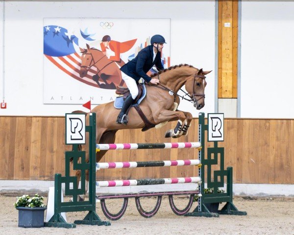 jumper Chicago (Oldenburg show jumper, 2018, from Chacfly PS)