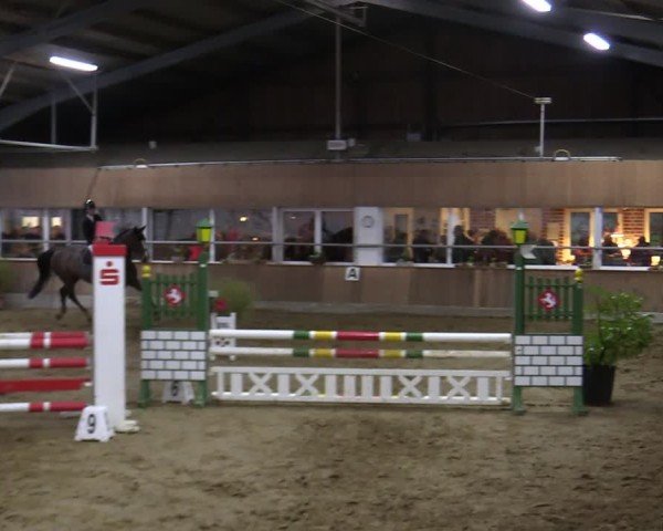 Reitturnier Werne 2025
