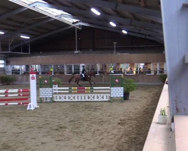 Reitturnier Werne 2025