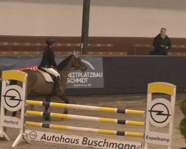 Reitturnier Exter 2025
