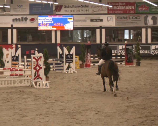 Reitturnier Exter 2025