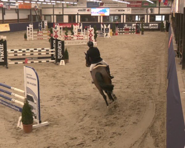 Reitturnier Exter 2025