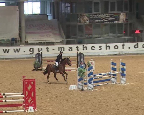 Reitturnier Kreuth 2025