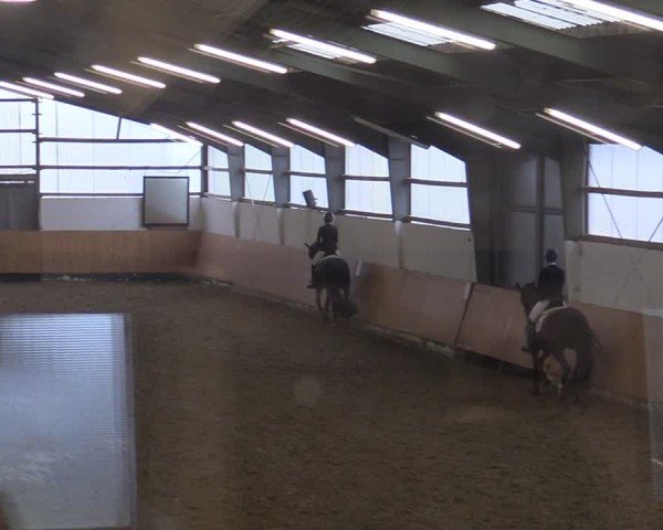Reitturnier Datteln 2025