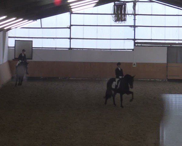 Reitturnier Datteln 2025