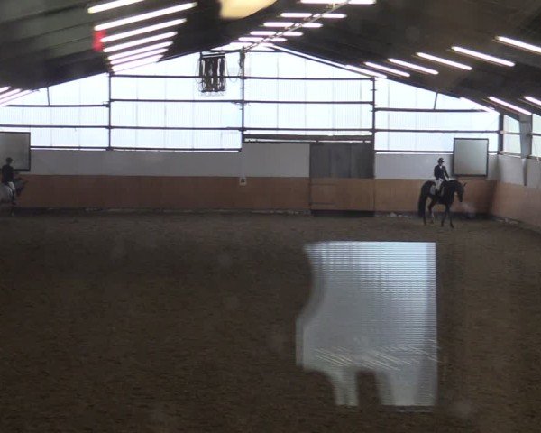 Reitturnier Datteln 2025