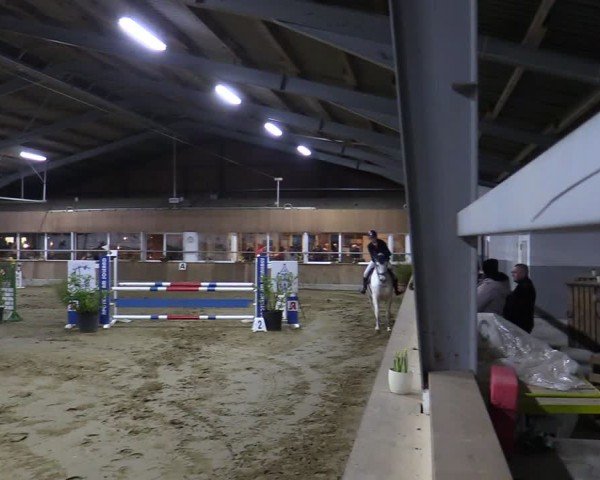 Reitturnier Werne 2025