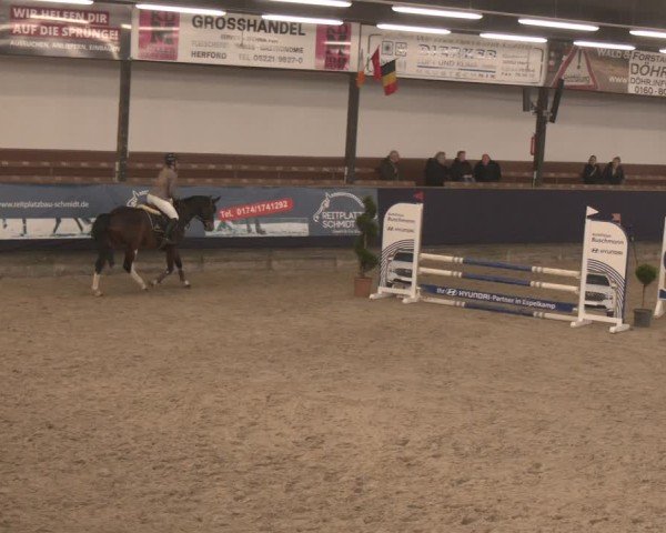 Reitturnier Exter 2025