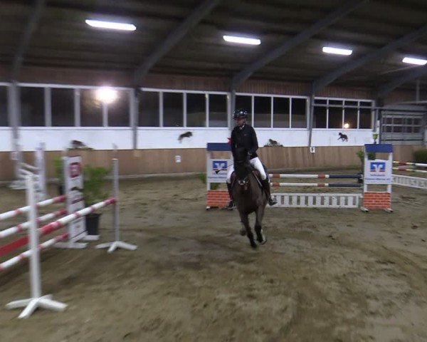 Reitturnier Werne 2025