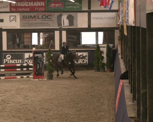 Reitturnier Exter 2025