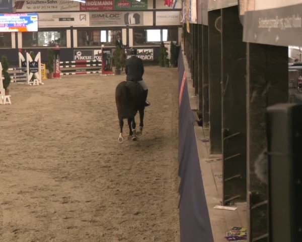 Reitturnier Exter 2025