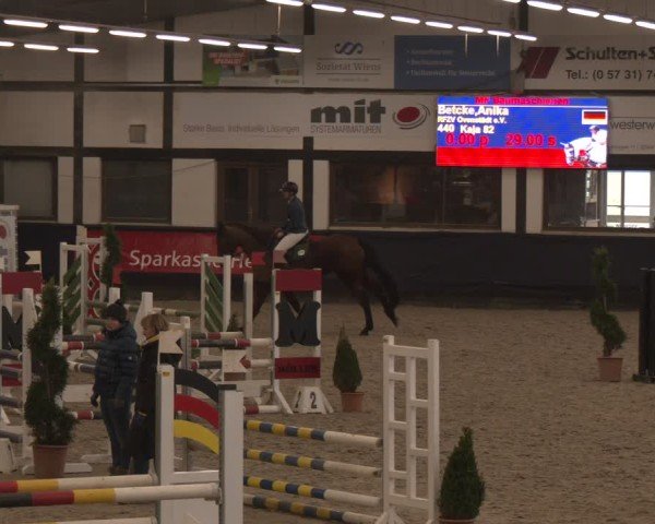 Reitturnier Exter 2025