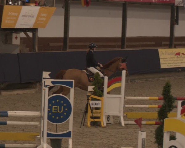 Reitturnier Exter 2025