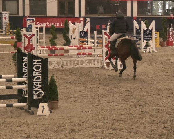 Reitturnier Exter 2025