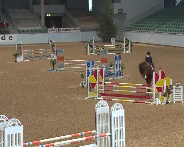 Reitturnier Kreuth 2025