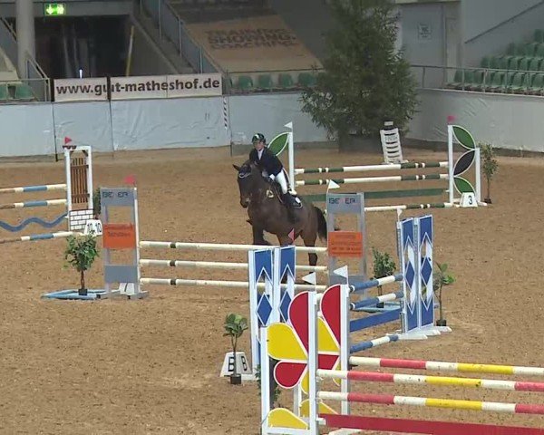 Reitturnier Kreuth 2025