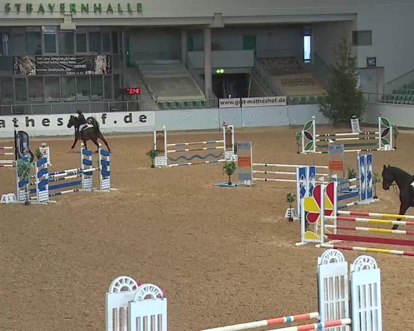 Reitturnier Kreuth 2025
