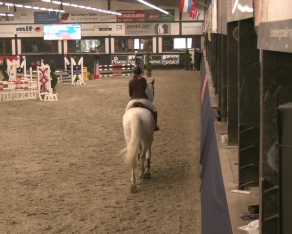 Reitturnier Exter 2025
