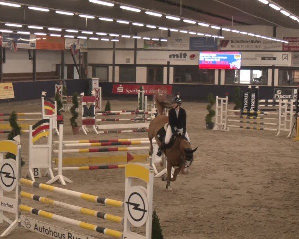 Reitturnier Exter 2025