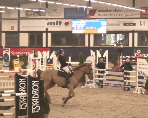 Reitturnier Exter 2025