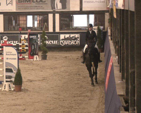 Reitturnier Exter 2025