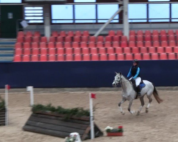 Reitturnier Neustadt/Dosse