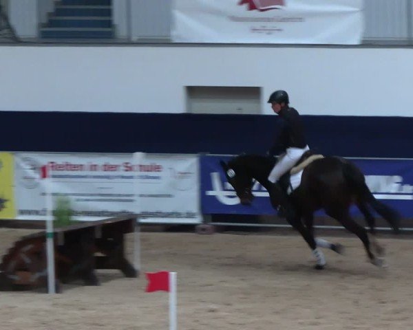 Reitturnier Neustadt/Dosse