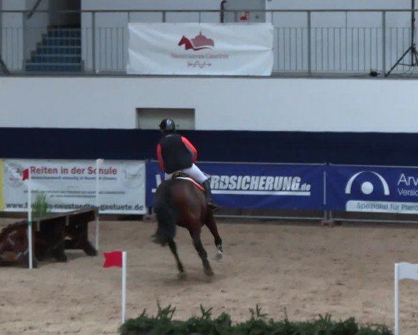 Reitturnier Neustadt/Dosse