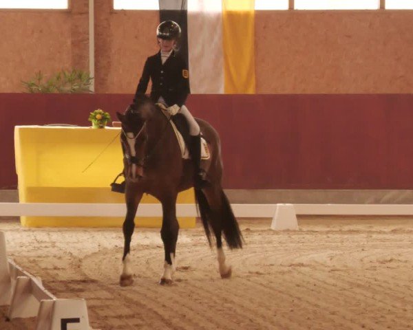 Reitturnier Balingen 2025