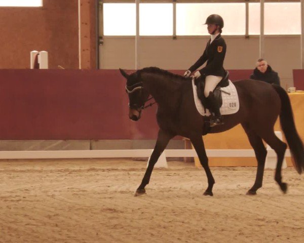 Reitturnier Balingen 2025