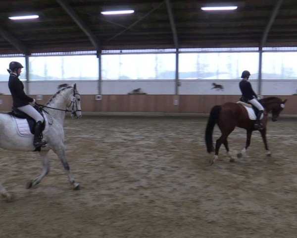 Reitturnier Werne 2025