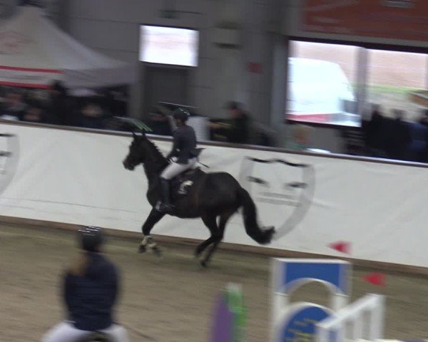 Reitturnier Prussendorf 2025