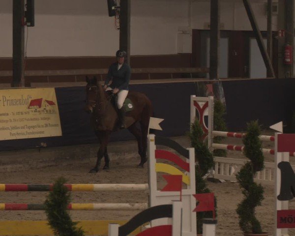 Reitturnier Exter 2025