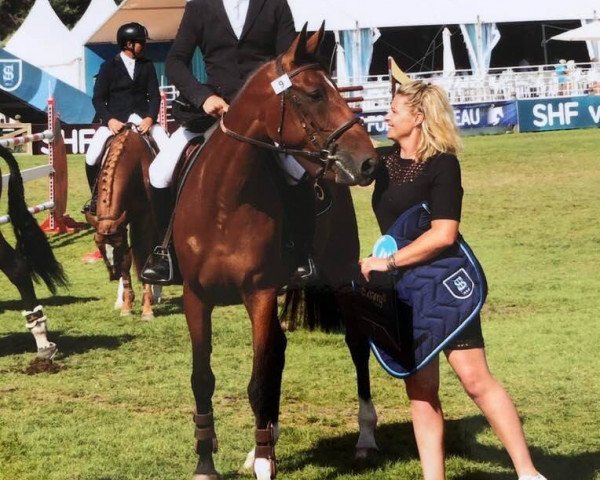 broodmare Course Pours'Huit Z (Zangersheide riding horse, 2015, from Con Air)