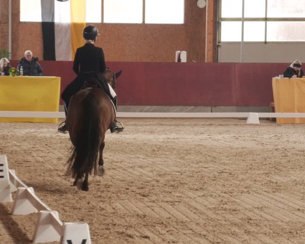 Reitturnier Balingen 2025