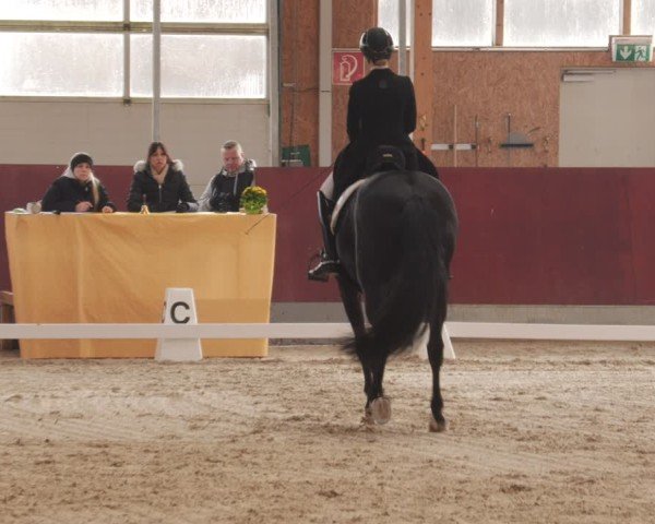 Reitturnier Balingen 2025