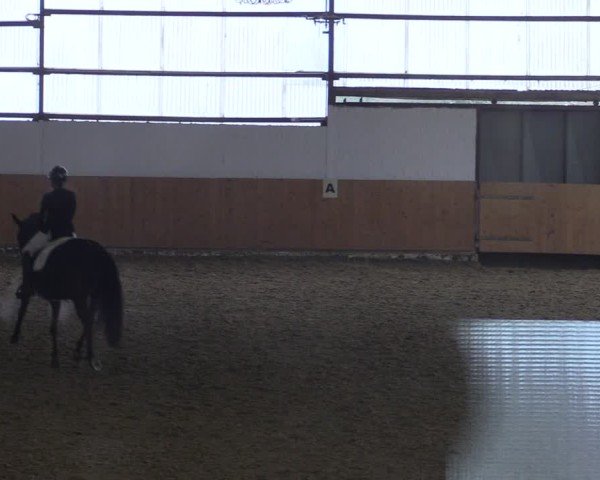 Reitturnier Datteln 2025