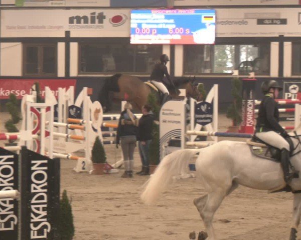 Reitturnier Exter 2025