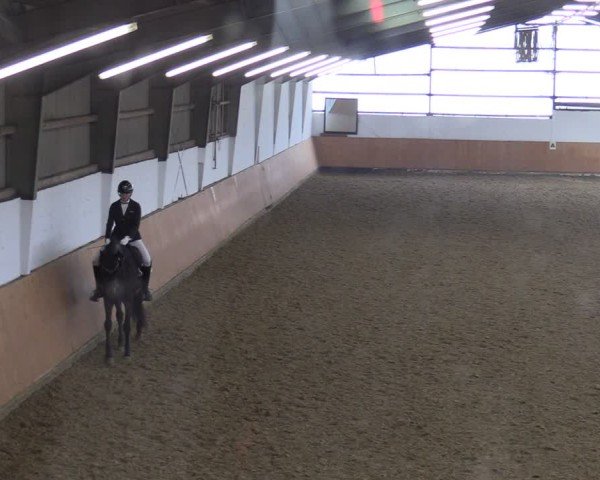 Reitturnier Datteln 2025