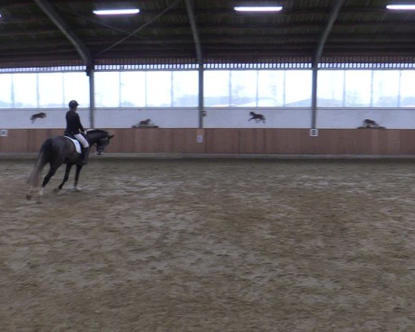 Reitturnier Werne 2025
