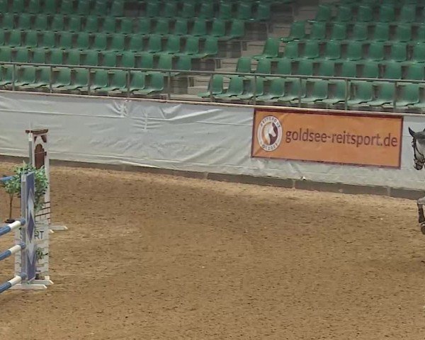 Reitturnier Kreuth 2025