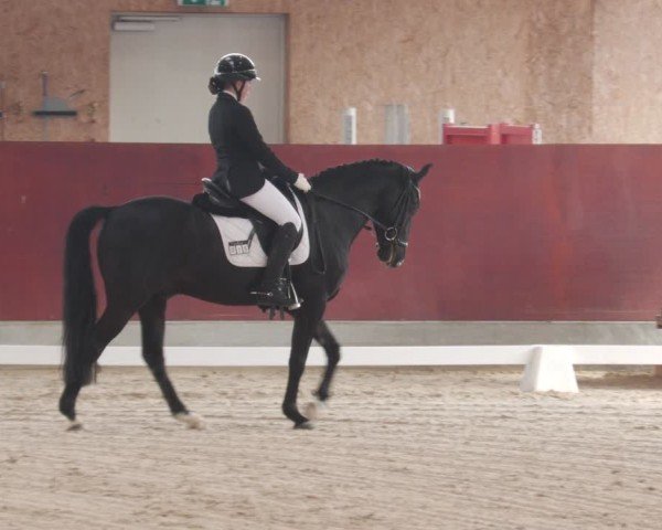 Reitturnier Balingen 2025
